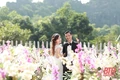 Chàng trai khuyết tật xứ Thanh vẽ ước mơ bằng những hạt gạo