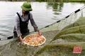 Thả cá chép ngày ông Táo - Nét đẹp văn hóa của người Việt