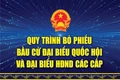 [Infographic] - Phiếu bầu cử như thế nào là hợp lệ?