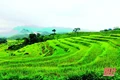 Du lịch Thanh Hóa trên “đường băng” phát triển: Tầm nhìn mới - quyết tâm cao!
