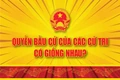 [Infographic] - Phiếu bầu cử như thế nào là hợp lệ?