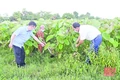 Đổi mới, nâng cao chất lượng hoạt động của MTTQ và các tổ chức đoàn thể chính trị - xã hội: Hướng hoạt động về cơ sở