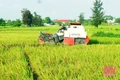 “Bức tranh” sáng trong thực hiện “mục tiêu kép”: Sản xuất công nghiệp bứt phá trong bối cảnh khó khăn