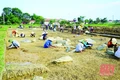 Ngôi nhà cổ được tổ chức Di sản châu Á - Thái Bình Dương bảo tồn ở xứ Thanh