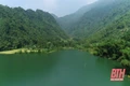Bảo đảm tiến độ chi trả dịch vụ môi trường rừng