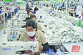 Ngọc Lặc thực hiện các giải pháp hoàn thành mục tiêu kinh tế - xã hội