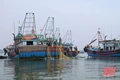 Ngư dân Thanh Hóa phấn khởi đi chuyến biển đầu năm mới