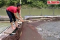 Nuôi cá ở lòng hồ thủy lợi lớn nhất xứ Thanh