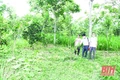 Hỗ trợ phát triển mô hình cây trồng, vật nuôi lợi thế ở miền núi – những vấn đề đặt ra (Bài 2): “Bắt mạch” lợi thế, phát huy tiềm năng