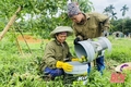 Để kinh tế tăng trưởng cao, phát triển bền vững (Bài 4): Thực hiện hiệu quả các giải pháp phát triển sản xuất công nghiệp