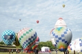 Người dân háo hức chờ đón Lễ hội khinh khí cầu “Thanh Hóa rực rỡ sắc màu”