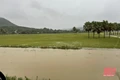 [Multimedia] Lấp mương, làng lo... lỡ vụ lúa