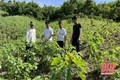 Hành trình tìm cuộc sống mới của đồng bào Khơ Mú xứ Thanh (Bài cuối): Giúp đồng bào vươn lên, tự lực cánh sinh