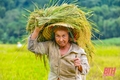 Lời Bác năm xưa: “Non sông gấm vóc Việt Nam do phụ nữ ra sức dệt thêu mà thêm tốt đẹp, rực rỡ”