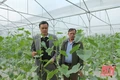 Thực hiện đồng bộ, chặt chẽ các khâu trong công tác tổ chức, xây dựng Đảng
