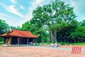 “Văn hóa xứ Thanh - Những giá trị đặc sắc” (Bài 2): “Cái nôi” di sản văn hóa