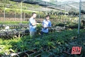 Công bố Quyết định chuyển hạng Khu bảo tồn thiên nhiên Xuân Liên thành Vườn quốc gia Xuân Liên