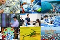 Tháo gỡ khó khăn, vướng mắc trong phát triển doanh nghiệp và hoạt động xuất nhập khẩu