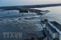 Vụ vỡ đập Kakhovka: Nước lũ bắt đầu rút, ít nhất 7 người mất tích