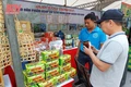 Dưa vàng Hồng Đức khai mở tiềm năng phát triển nông nghiệp Quảng Văn