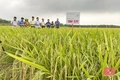 Để liên kết sản xuất và tiêu thụ sản phẩm là nhân tố phát triển nông nghiệp bền vững (Bài cuối): Tìm “chìa khóa” mở “cánh cửa” tiến vào nền nông nghiệp hiện đại