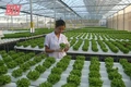 “Đổi mới nhận thức và hành động để khoa học và công nghệ thực sự là khâu đột phá” (Bài 2): “Hàm lượng khoa học” vẫn còn... khiêm tốn!
