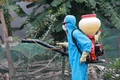 Chủ động bảo vệ đàn vật nuôi trong những ngày nắng nóng