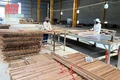 Khánh thành Nhà máy sản xuất tre và gỗ biến tính Bamboo King Vina
