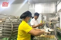 Để sản phẩm OCOP phát triển hài hòa giữa lượng và chất (Bài 2): Lãng phí danh hiệu OCOP