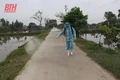 Thanh Hoá: 13 xã, phường bước đầu khống chế được bệnh Dịch tả lợn Châu Phi