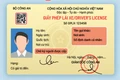 UBND tỉnh yêu cầu tiếp tục tiếp nhận hồ sơ cấp đổi, cấp lại giấy phép lái xe