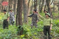 Thị xã Nghi Sơn: Tăng cường tuyên truyền về bảo vệ và phát triển rừng cho học sinh, sinh viên