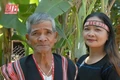 Di tích chiến thắng Chư Nghé (Gia Lai): Đúng nhưng chưa đủ! (Kỳ 2): Đánh Chư Nghé để “nước sông Pô Cô chảy ngược, con cóc mọc râu!”