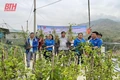 Thành lập đội “Thanh niên tình nguyện xung kích” tại các xã, phường hỗ trợ công tác phòng, chống bão