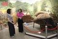 Tô Vĩnh Diện - Thà hy sinh, quyết bảo vệ pháo