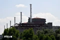 IAEA: Nhà máy điện hạt nhân Zaporizhzhia “vẫn trong tầm kiểm soát”