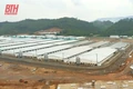 Yêu cầu trang trại chăn nuôi lợn tại xã Tân Phúc không tái đàn nhằm khắc phục triệt để môi trường