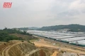 Yêu cầu trang trại chăn nuôi lợn tại xã Tân Phúc không tái đàn nhằm khắc phục triệt để môi trường