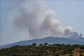 Phái đoàn quân sự Mỹ tới Lebanon, thảo luận về triển khai kế hoạch rút dần lực lượng Israel