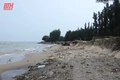Hoằng Hoá: Gia cố tạm thời để hạn chế sự phát triển của sạt lở, xâm thực tại bờ biển