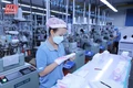 Định vị hàng hóa xứ Thanh trên thị trường (Bài cuối): Kết nối, kỳ vọng đưa sản phẩm xứ Thanh “cất cánh”
