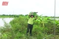 Tăng cường quản lý hành vi săn bắt, bẫy bắt động vật hoang dã