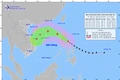 Công điện triển khai phương án ứng phó bão MAN-YI