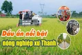 Các địa phương phải xây dựng ít nhất một mô hình sản xuất nông nghiệp theo hướng quy mô lớn, nông nghiệp sạch và hữu cơ