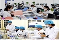 Đề xuất quy định mới về thu hút người tài năng vào bộ máy công vụ