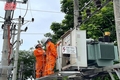 Điện lực Quan Hóa triển khai các giải pháp, bảo đảm cấp điện ổn định, an toàn trên địa bàn