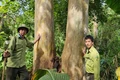 Công bố Quyết định chuyển hạng Khu bảo tồn thiên nhiên Xuân Liên thành Vườn quốc gia Xuân Liên