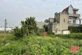 Cựu Giám đốc Chi nhánh Văn phòng đăng ký đất đai TP Sầm Sơn lĩnh án 4 năm tù
