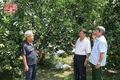 Thanh Hóa phát huy nguồn lực người cao tuổi, thúc đẩy phát triển “kinh tế bạc”