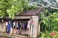 Cảnh báo dông lốc, mưa đá và mưa lớn cục bộ 